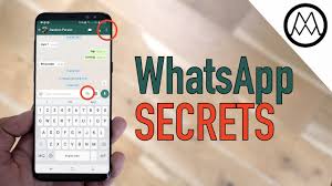 Appizia 2 App Whatsapp