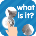 101 Pics: Photo Quiz APK