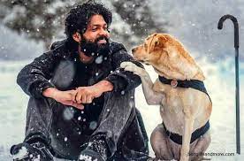 777 Charlie Movie Download APK