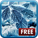 Winter Live Wallpaper Winter Live Wallpaper APK