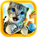 Cat Simulator Cat Simulator APK