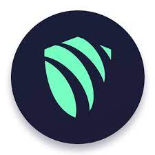 Argo VPN APK Argo VPN APK APK
