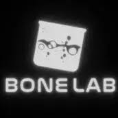 Bonelab APK icon
