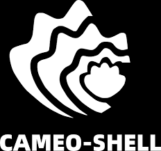 Cameo Shell APK Cameo Shell APK APK