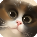 Cat in the Box Cat in the Box APK