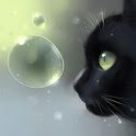 Curious Cat - Curious Cat Curious Cat - Curious Cat APK