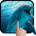 Dolphins - Play with me Dolphins - Play with me APK
