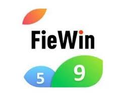 FieWin 5.0 APK icon