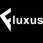 Fluxus V17 APK APK