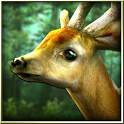 Forest HD Forest HD APK