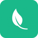 Green VPN icon