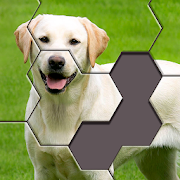 Hexa Jigsaw Puzzle ™ icon