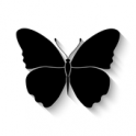 I Am Innocent icon