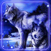 NightWolf APK NightWolf APK APK