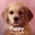 Puppy Live Wallpaper Puppy Live Wallpaper APK