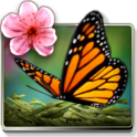Season Zen Free icon