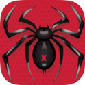 Spider icon