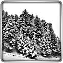 Winter Lands 3D Live Wallpaper - Winter World Wallpaper icon