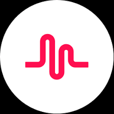 Zhiliaoapp.Musically APK Zhiliaoapp.Musically APK APK