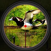 Duck Hunting 2019 - Стрельба из настоящих диких APK