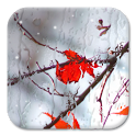 Water on your screen APK