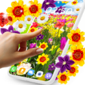 Flowers live wallpaper icon