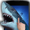 Shark Attack APK