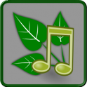 Nature Sounds: Relaxation APK