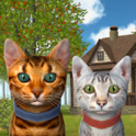 Cat and Cat Simulator APK