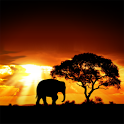 African Sunset APK