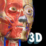 Anatomy Learning - 3D анатомический атлас APK