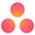 Asana: organize team projects APK
