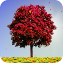 Autumn Trees Live Wallpaper icon