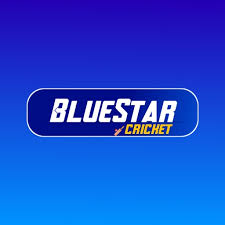 BlueStar Cricket APK APK