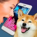Dog Translator Simulator APK