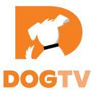 Doge TV APK APK