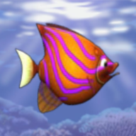 Feeding Frenzy APK APK