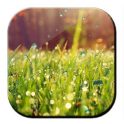 Galaxy S4 Rain n Grass LWP icon