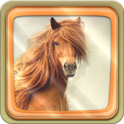Horses Live Wallpaper APK