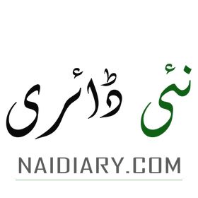 Naidiary Download Apk APK