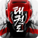Taekwondo Game APK