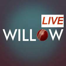 Willow TV APK APK