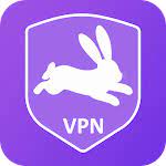 Zebra VPN APK APK